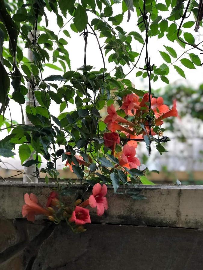 Hidden Hue Homestay Luaran gambar