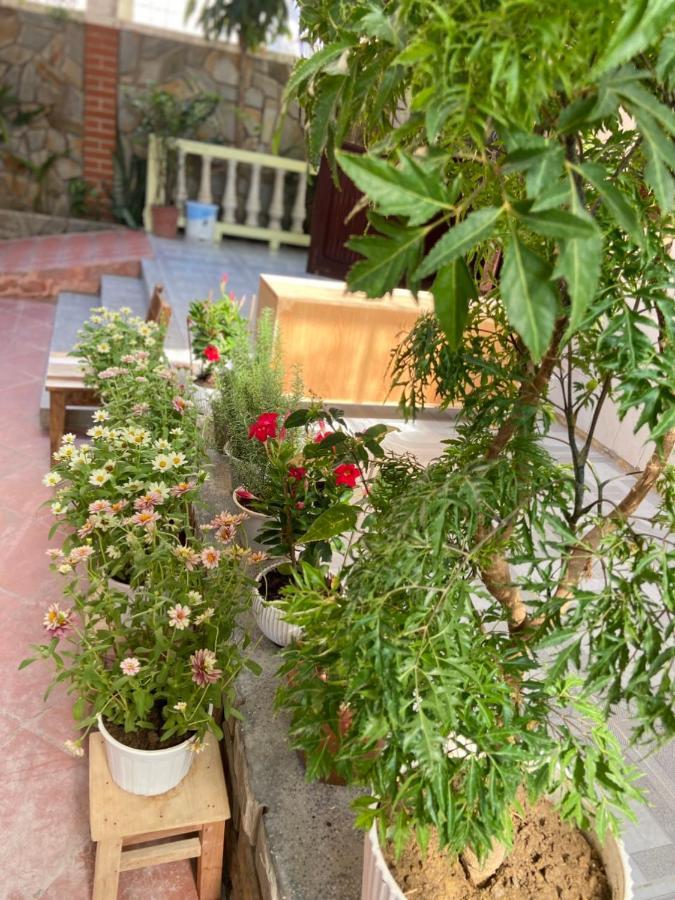 Hidden Hue Homestay Luaran gambar