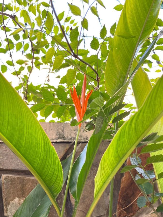 Hidden Hue Homestay Luaran gambar