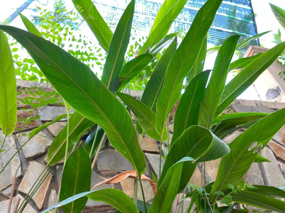 Hidden Hue Homestay Luaran gambar